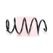 Apec Front Suspension Coil Spring ACS2192