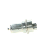 Bosch Fuel Pressure Accumulator