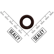 Sealey Teflon Seal