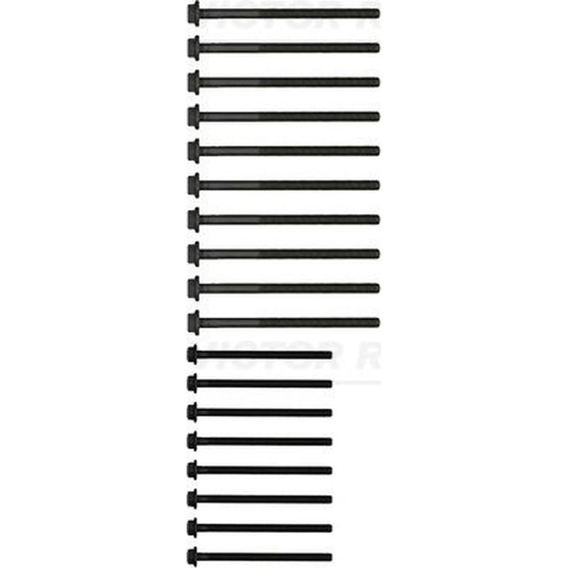 Victor Reinz Cylinder Head Bolt Set 14-32204-01