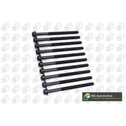 BGA Cylinder Head Bolt Set M11 BK6315