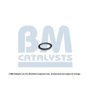 BM Catalysts Fitting Kit FK92213A FK92213A