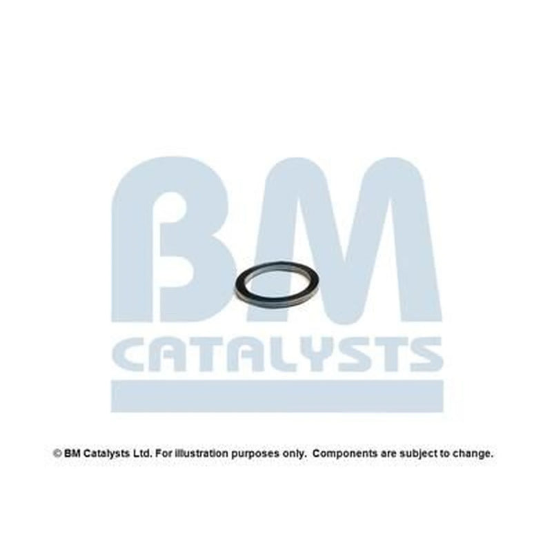 BM Catalysts Fitting Kit FK92213A FK92213A