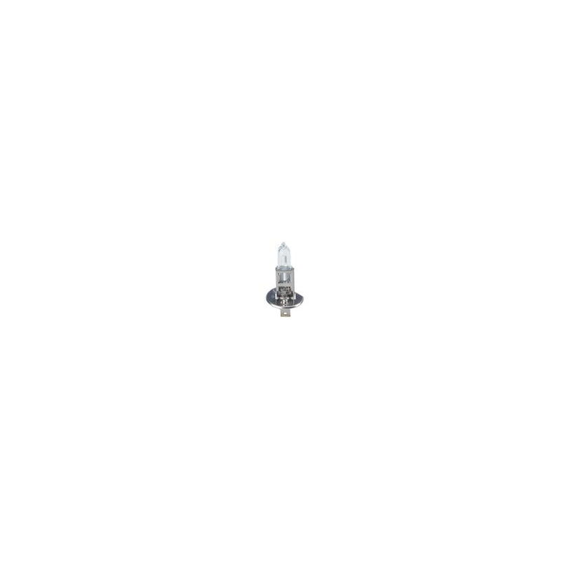 Bosch Eco H1 12V 55W P14.5S 448-Eblb448 1 987 302 801