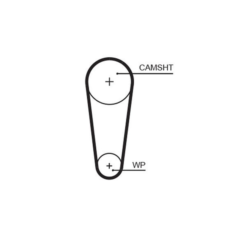 Gates Timing Belt Cambelt 77 Teeth fits Ford C-Max II 2018-2019 1.0