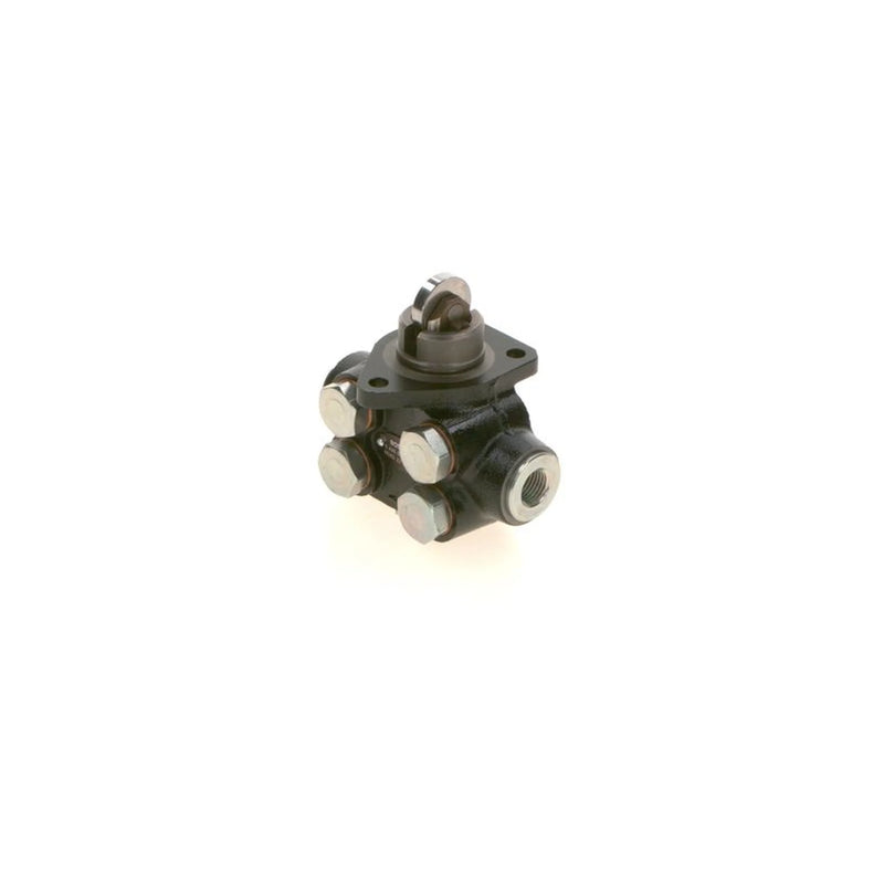 Bosch Fuel Pump Assembly