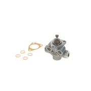 Bosch Fuel Pump Assembly