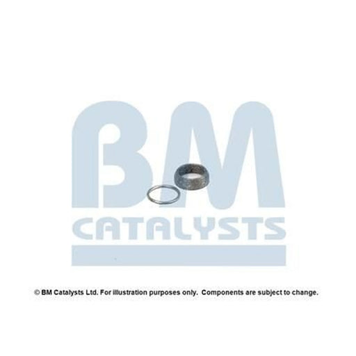 BM Catalysts Fitting Kit FK92151A FK92151A