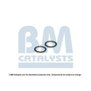 BM Catalysts Fitting Kit FK80431A FK80431A