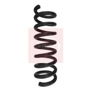Apec Rear Suspension Coil Spring ACS1562
