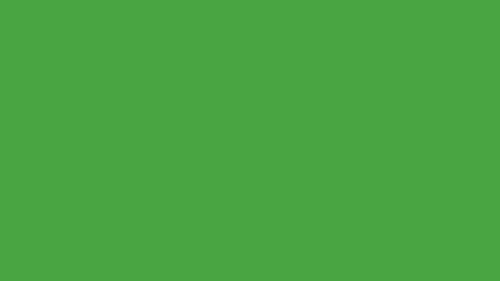 49cb3fe258d3.mp4