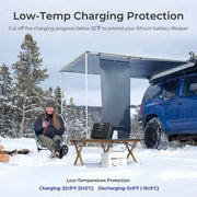 Renogy Rover Lite 12V/ 24V/ 36V/ 48V 60A MPPT Solar Charge Controller Dyna-mo Solar - Dynamic Drive
