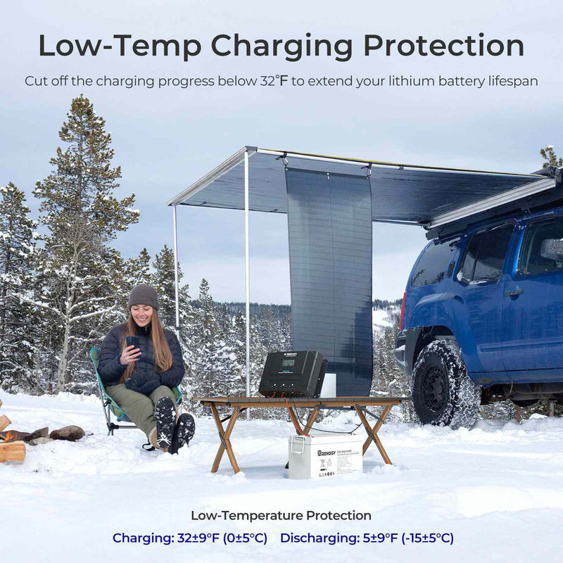 Renogy Rover Lite 12V/ 24V/ 36V/ 48V 60A MPPT Solar Charge Controller Dyna-mo Solar - Dynamic Drive